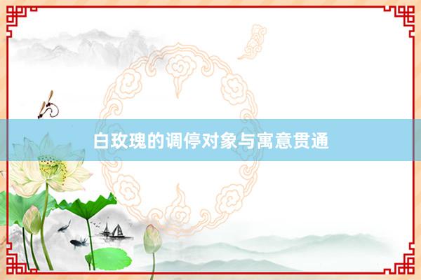 白玫瑰的调停对象与寓意贯通