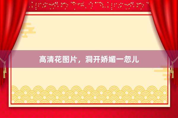 高清花图片，洞开娇媚一忽儿