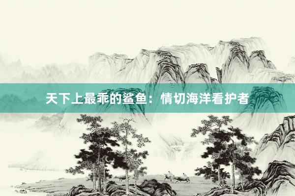 天下上最乖的鲨鱼：情切海洋看护者