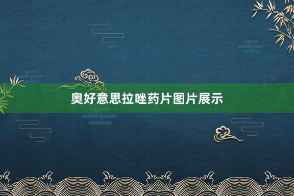 奥好意思拉唑药片图片展示